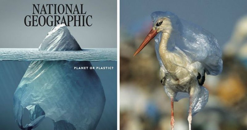 Что скрывает обложка номера журнала National Geographic