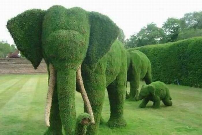  Красивый парк (35 фото)