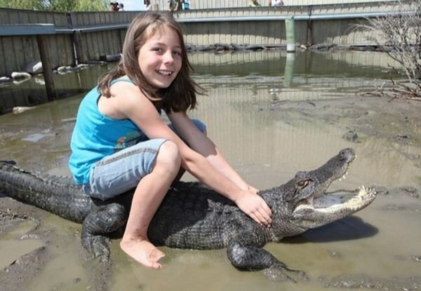 9-летняя девочка с крокодилами (7 фото)