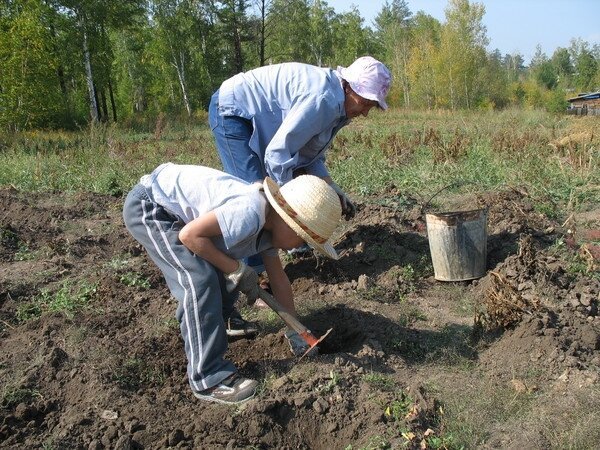 Категории дачников (5 фото + много буков)