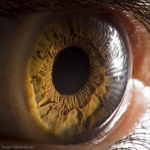 Макросъемка глаза (8 фото)