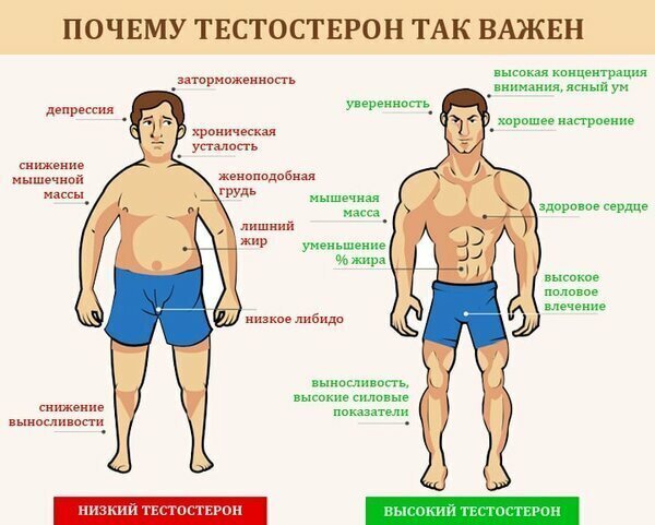 Как повысить уровень тестостерона — 5 простых шагов