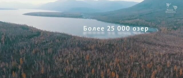 Пожалуйста не надо туда