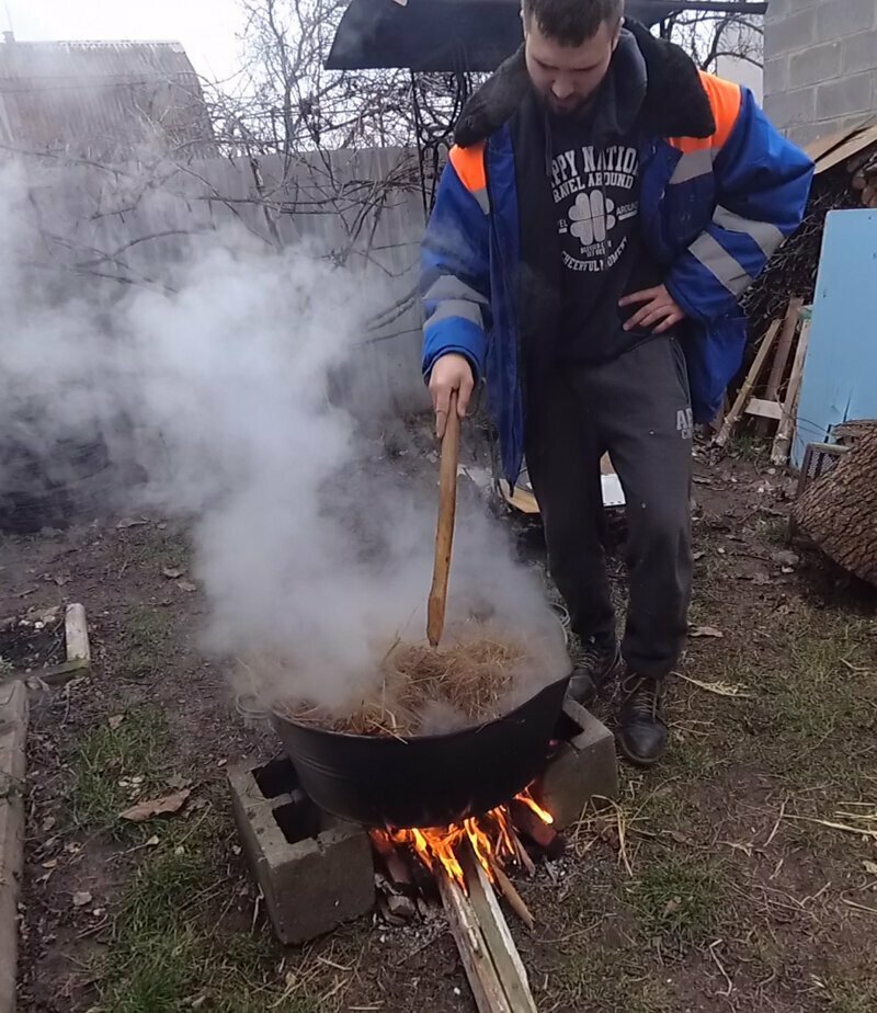 Эксперимент Как вырастить грибы в домашних условиях Простой рецепт выращивания грибов вешенки