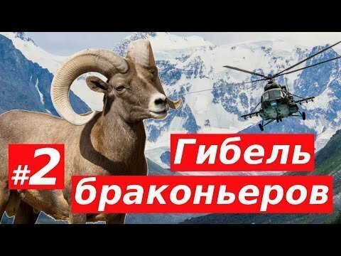 Гибель московских Чиновников браконьеров на Алтае. Продолжение