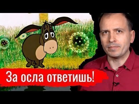 За осла ответишь! Как вам врут о коронавирусе // АгитПроп 05.04.2020