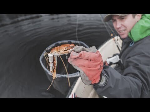 Почти настоящая ЛЯГУШКА для щуки. Ловля щуки на лягушку