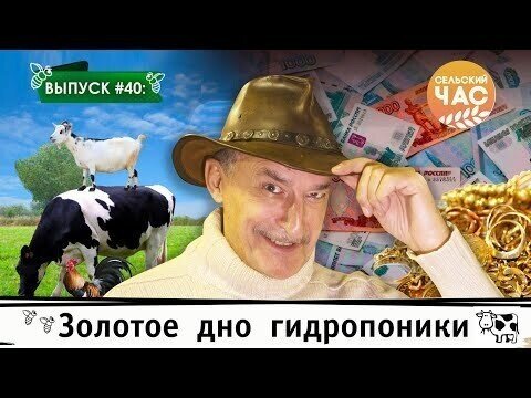 Золотое дно гидропоники. Сельский час #40 (Игорь Абакумов)