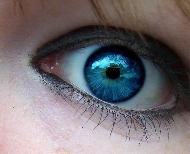 Почему наши глаза имеют разные цвета? (10 фото)