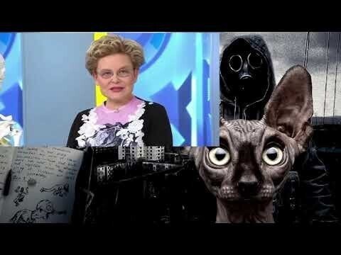 Кот костян тг