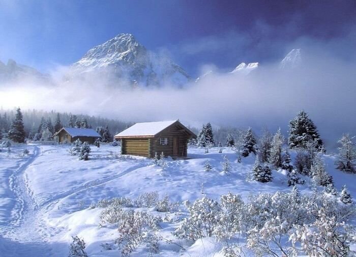 Великолепные зимние фотографии(15 Фото)