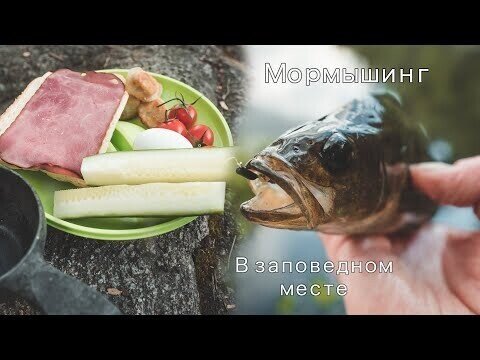 Мормышинг. Начало. Окунь, щука, краснопёрка и плотва на мормышку в национальном парке