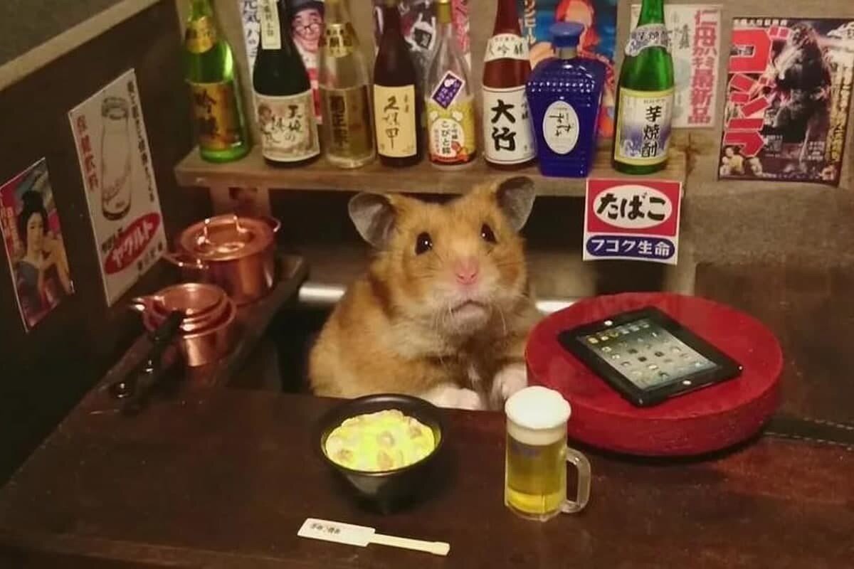 Пьяный хомяк