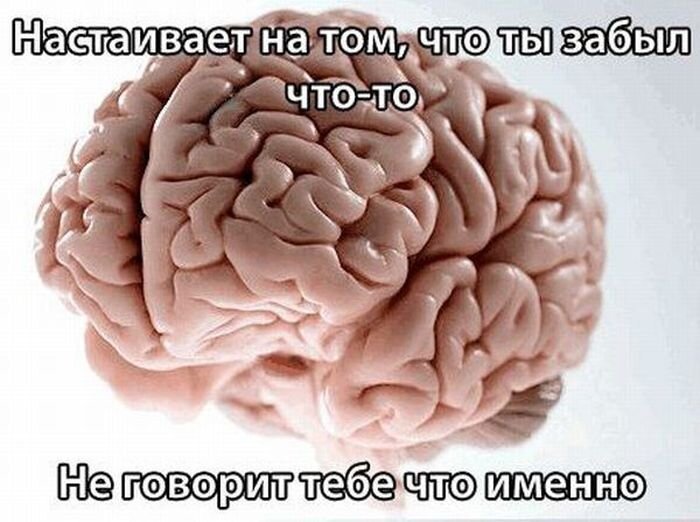 Мозговые мемы (16 фото)