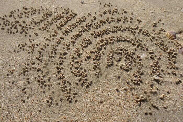 Странные рисунки на песке (20 фото)