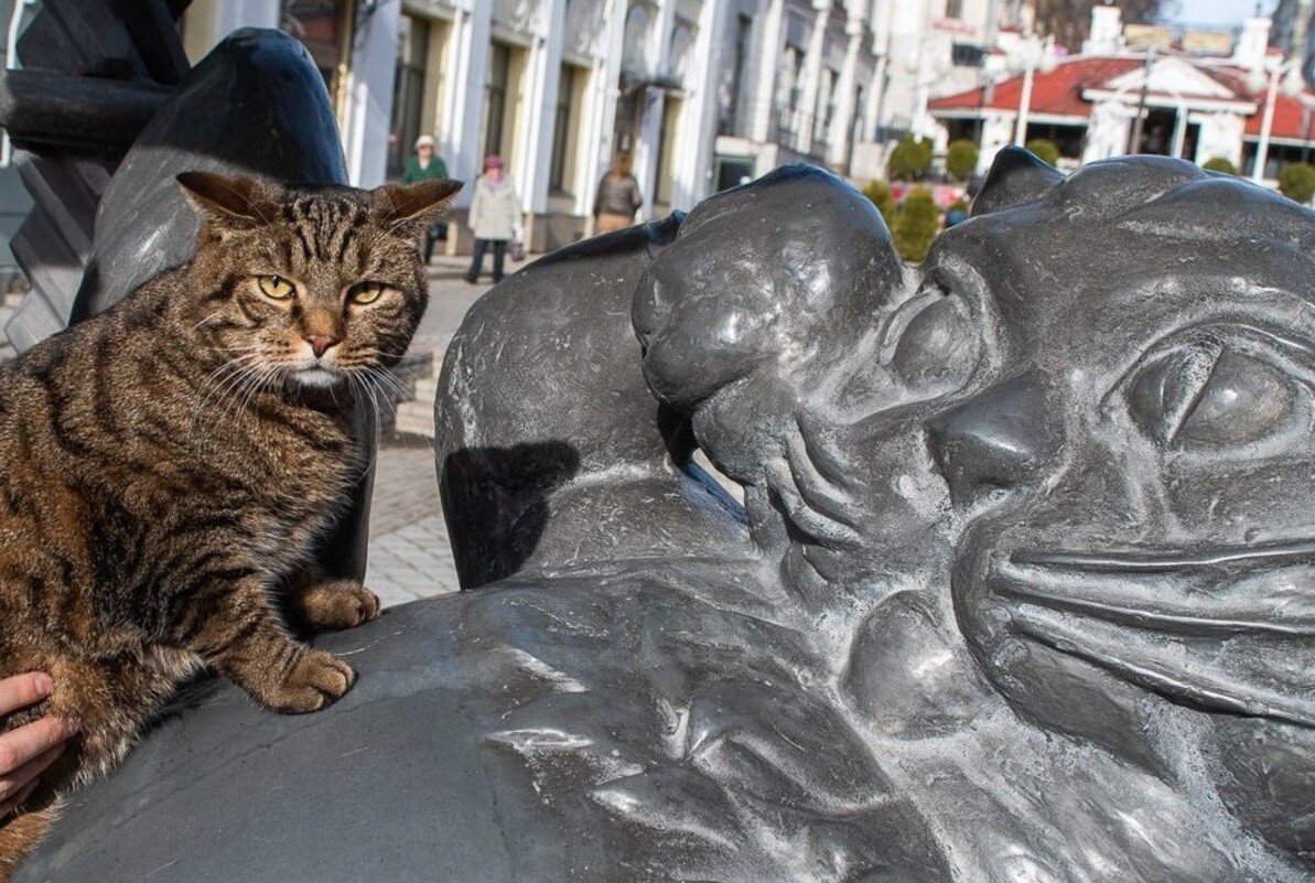 Памятник коту Алабрысу в Казани