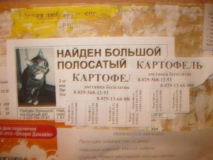 Прикольные комиксы и картинки (21 фото)