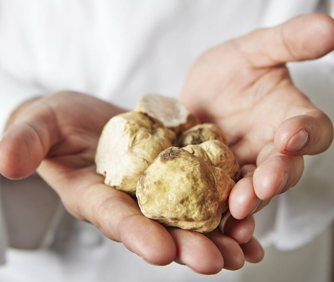 White truffle