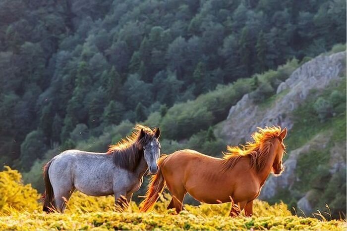 Завораживающие фотографии нашей планеты (60 фото)