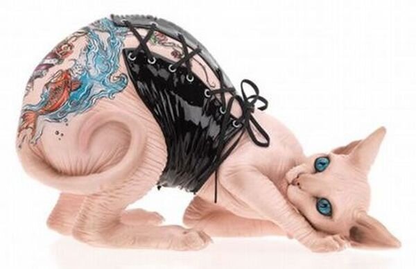 Садо-мазо среди кошек (4 фото)