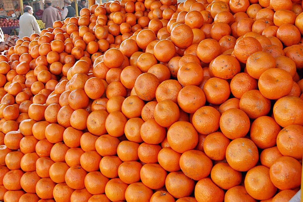 Мандарин томск. Апельсины на рынке. Большие апельсины. Мандарины Пакистан. Рынок мандарин.