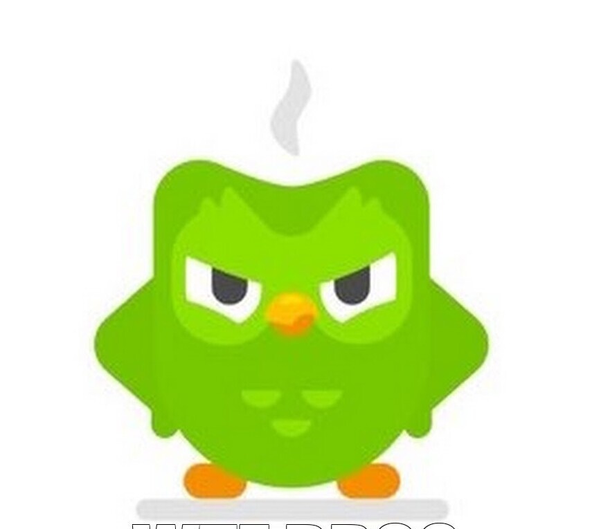 Duolingo Сова. Сова Duolingo Мем. Duolingo Сова злая.