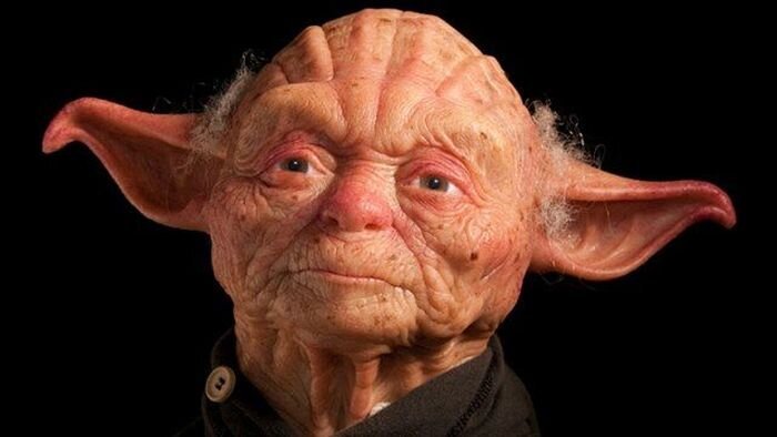 Настоящий Мастер Йода (2 фото)