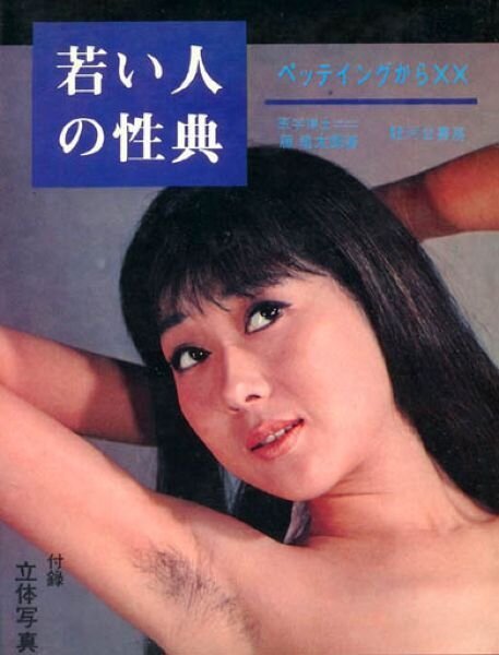 Сексуальное пособие 60-х годов для японцев (11 фото)