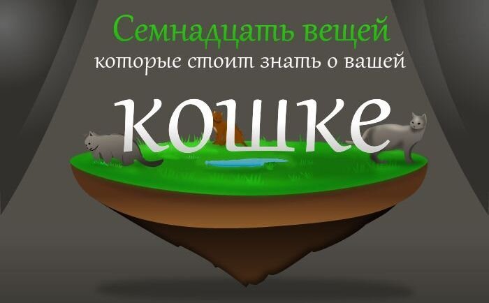 То, чего многие не знали о котах (1 фото)