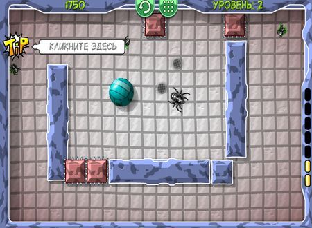 Beetle Roll
