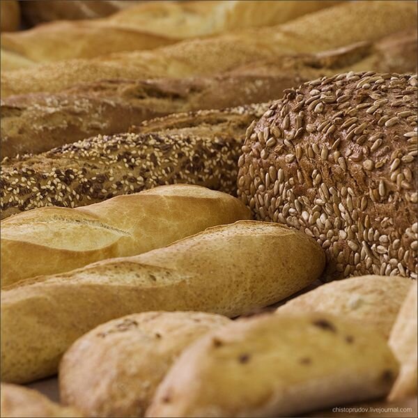 Производство хлеба (79 фото)