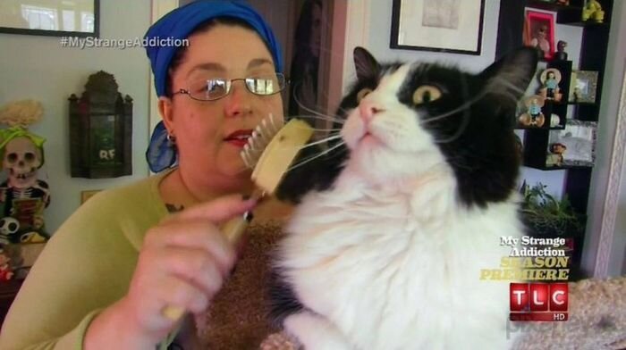 Американка поедает шерсть своей кошечки (5 фото + 1 видео)