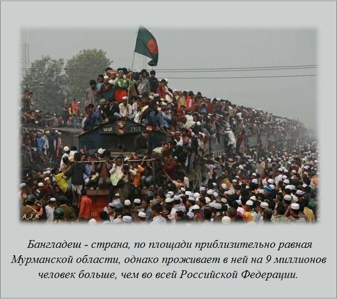Интересные и познавательные факты (20 фото)