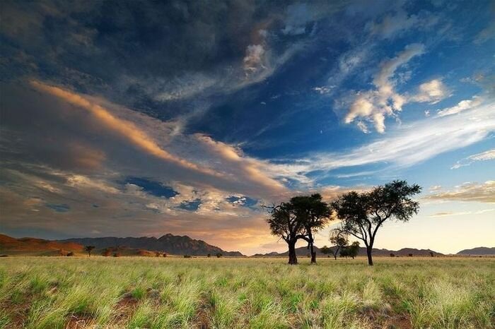 Необычные пейзажи пустыни Намиб (30 фото)