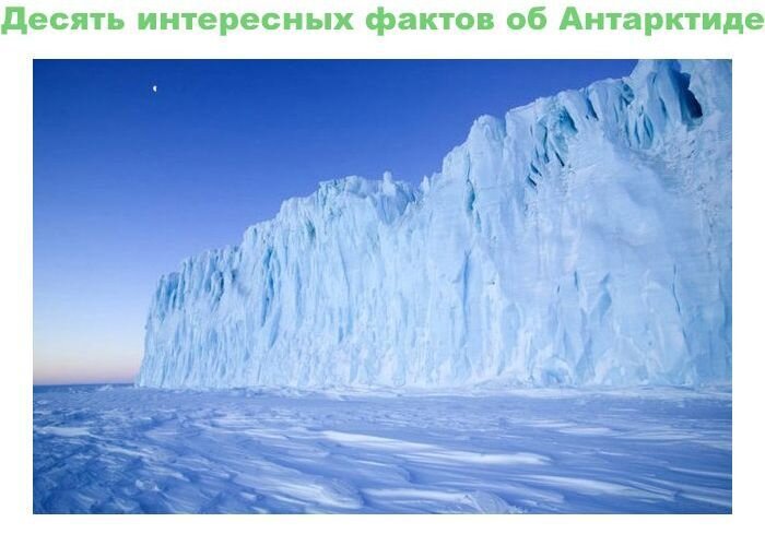 Факты об Антарктиде (11 фото)