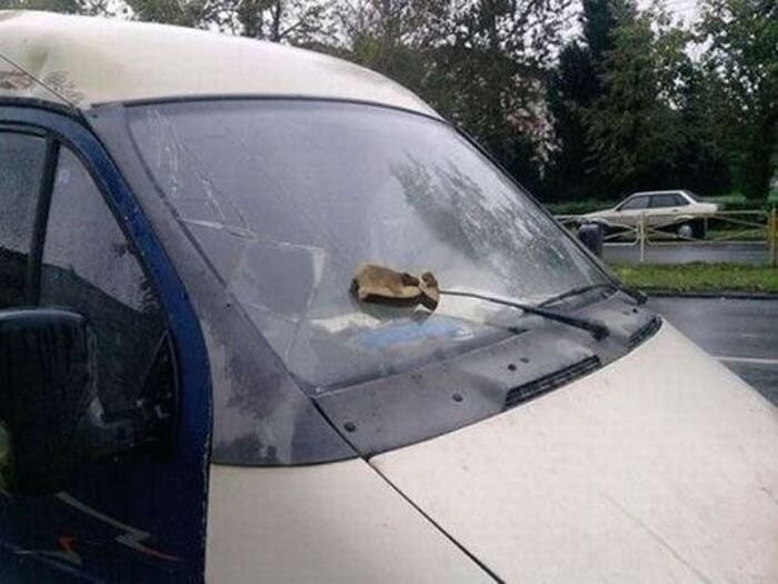 Все, я починил (43 фото)