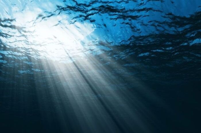Тайны океанских глубин (6 фото)