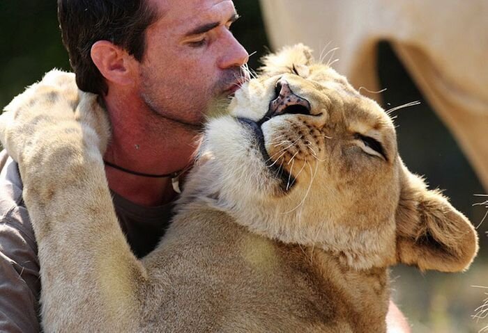 Уникальная дружба человека и льва (13 фото)
