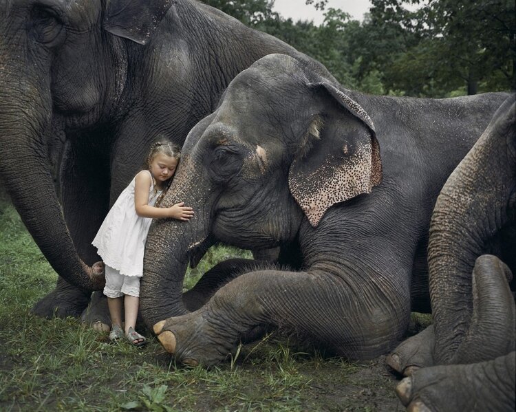 Трогательные истории гармоничных отношений детей и животных (9 фото)