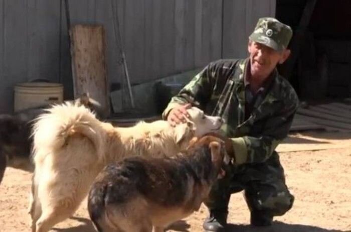 Ветеран ФСБ продал квартиру, чтобы построить приют для служебных собак (5 фото + 1 видео)