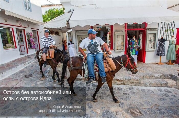 Греческий остров, где нет автомобилей, но есть ослы (14 фото)