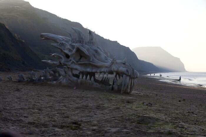 На пляже Британии обнаружили голову дракона (5 фото)