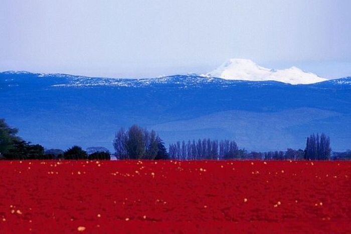 Флаги государств, нарисованные природой (8 фото)