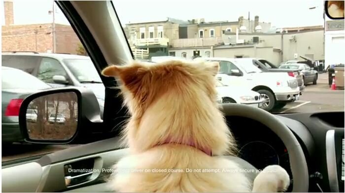 Собачья реклама Subaru Forester (фото+3 видео)