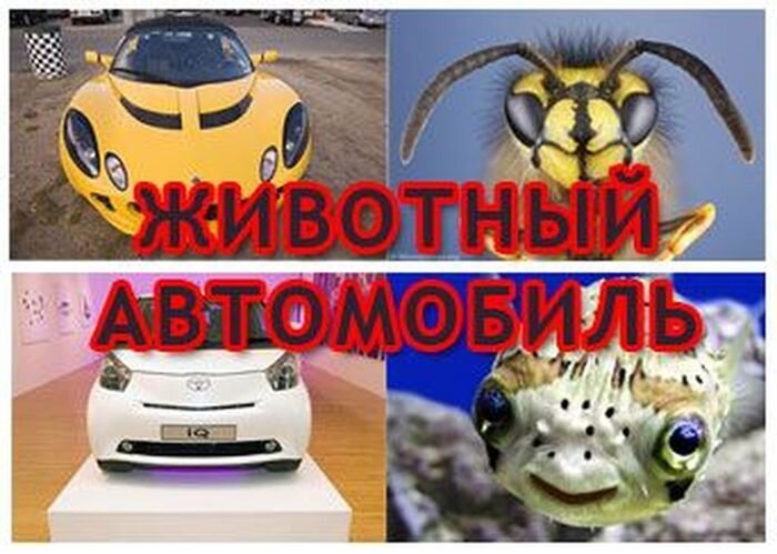 Животные автомобили! Всем смотреть :) (35 фото)