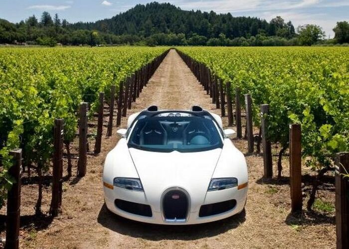 Bugatti Veyron Grand Sport самый дорогой кабриолет (31 фото)