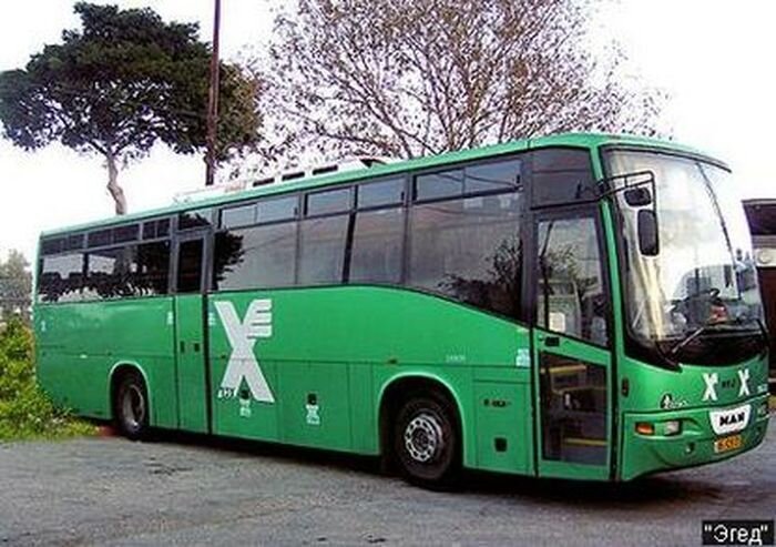 Музей исторических автомобилей (50 фото)