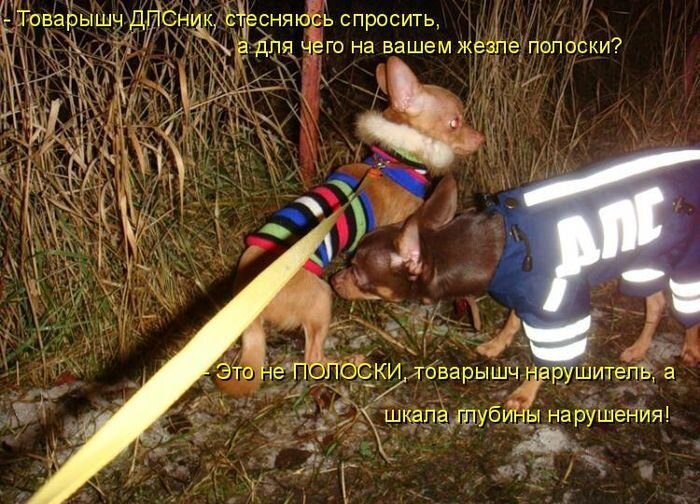Общение с ГИБДД часть 47 (фото+видео)