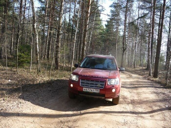 Обзор Land Rover Freelander 2 TD4 2010 (21 фото)