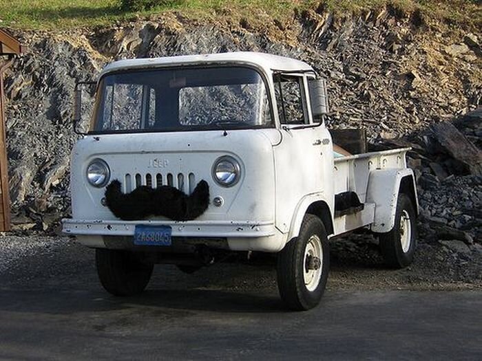 Усатые авто - новое направление в тюнинге (7 фото)